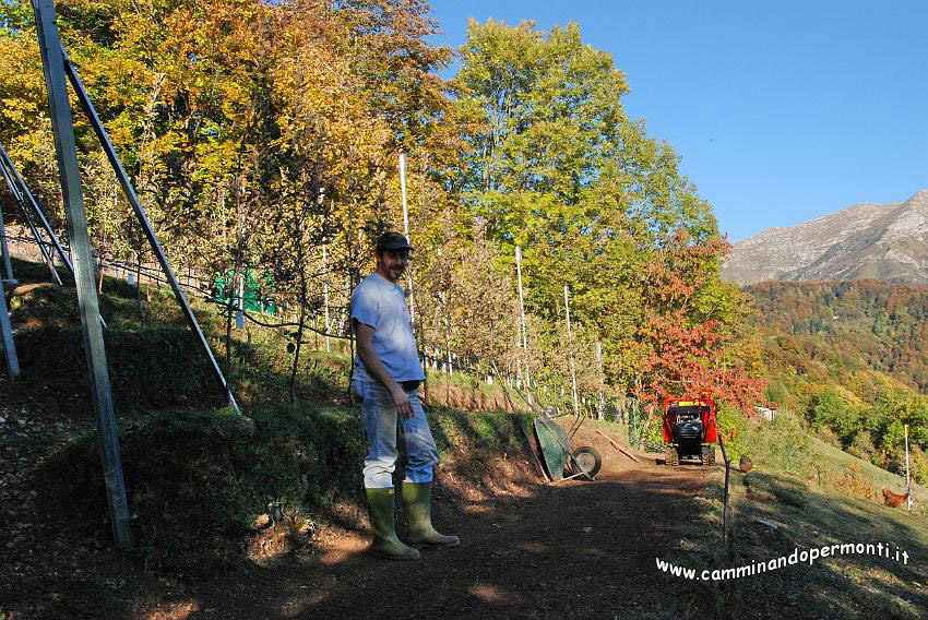 09 12902 Stefano con i suoi perfetti filari di Mele.JPG